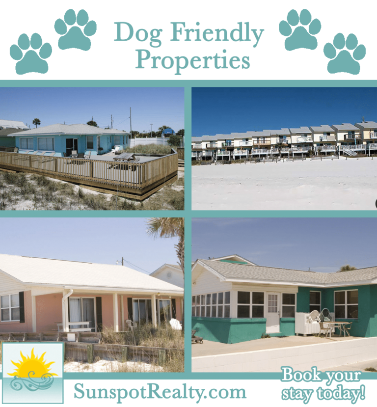 Pet Friendly Vacation Rentals Select Sunspot Properties